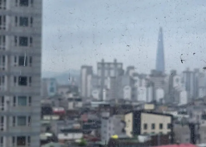 와이하우스 서울특별시